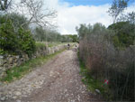 gal/2010/03 - La Via delle Miniere 2010/Al podere Quato/_thb_DSCF0710-01.jpg